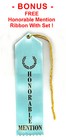 First Place Deluxe Rosette Best Quality Award Ribbon  1 H m  3 5wx10l Fast Ship 