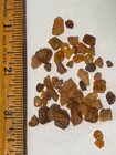 Rare New Jersey Amber Fragments - Sayreville Clay Pits - Late Cretaceous
