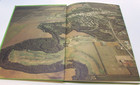 New Old 1981 Mayville Nd Portland North Dakota Centennial History Book Photos Hc