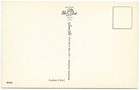 Native American Chief In Headdress Vintage Postcard Chrome 