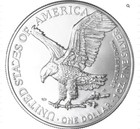 2024  1 American Eagle Brilliant Uncirculated Ase
