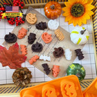 4 Pack Halloween Candy Chocolate Molds  Pumpkin Chocolate Mold Halloween Pumpkin