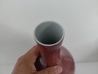       fine 19th Century Chinese Export Bottle Vase  Oxblood  Sang De Boeuf