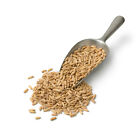 Cat Grass Seeds Choose     Rye Oat Barley Wheat Blend Seeds   Free Shipping 