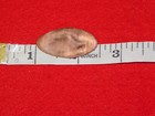 Vintage Souvenir Elongated Penny Coin Unicorn Horse