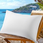 Canadian Luxury Goose Down Pillow 1050 Fill Power 80  King  pack Of 1  White