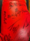 15x Signed Autographed Boxing Glove 2002 International Boxing Hall Of Fame Ibhof