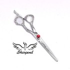 Professional Barber Salon Razor Edge Hair Cutting Scissors   Shears 6 5 J2 Steel