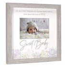 International Designs 4x6 Sweet Baby Watercolor Succulent Matted Picture Fram   