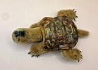 Vintage Steiff Slo Turtle  2314 Mohair Button Shield  5 5 Inch Flaws 1950 s-60 s