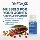3 Pack Omega Xl 300 Capsules-green Lipped Mussel Omega 3 Joint Relief Supplement