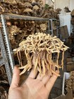 Driftwood Bonsai Tree Aquarium Wood Aquascape Drift Wood Fish Tank Plants