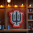16 x13  Indiana University Gift Led Neon Sign With Dimmer Usb Powered Light Lamp