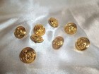 Lot Of 8 New old Stock Gold Tone Buttons Military Navy Uniform 5 8  C c