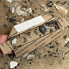 Megalodon Shark Tooth Dig Kit  fossil Guide Included   Great Whites   Makos Too 