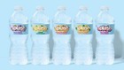 Splash Refresher Mandarin Orange Flavored Water 16 9 Fl Oz Plastic Bottle Pack 6