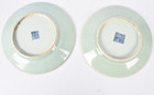 Antique Chinese Celadon Canton Famille Rose Plates Pair 19thc Birds Butterflies