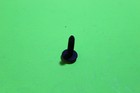 New Genuine Polaris Screw Magnum Sportsman Xpedition Diesel 455 4x4 Oem  7517685
