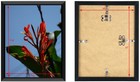 10x12 Picture Frame  Photo Frame  Display Pictures 10 X 12 Without Mat  Wall    