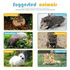 24  Humane Live Animal Trap Cage Catch Release For Rabbit Raccoon Squirrel Mole