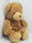 Dandee Collectors Choice   12  Soft Brown Bear Plush Toy
