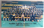 1985 Hamilton Tiger Cats Cfl East Division Champs Photo Seasons Greetings Card
