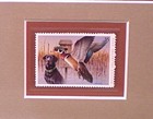 Vintage 2004 Ducks Unlimited  5 U S Stamp Wildlife Mallard Duck 3d Framed Print