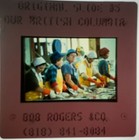 Our British Columbia Set Of Slides From Vancouver Expo 86
