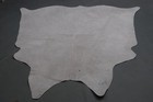 100  New Cowhide Rugs Area Cow Skin Leather  60  X 56   Cow Hide Sa-489