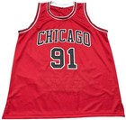 Chicago Bulls Dennis Rodman Autographed Pro Style Red Stat Jersey Bas Authent   
