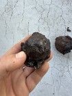 Lot Of 2 1715 Treasure Fleet Shipwreck Recovered Iron Cannonballs