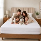 Mattress Encasement Zippered Waterproof Bed Bug Mattress Protector Cover