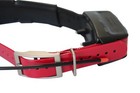 Garmin Tt15 Gps Dog Collar - Very Good Condition - Long Contact Points