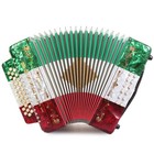 Rossetti 31 Button Accordion 12 Bass Fbe Mexican Flag