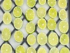 Dried Organic California Lime - Bulk Bag Price Limited Pick Your Bag Now