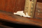 Carved Domesticated Bovine Cow Pendant Talisman Inuit