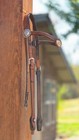 Vintage Champion Turf One Ear Headstall Sterling Silver Accents Browband Bridle