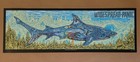 Widespread Panic Foil St Augustine Poster By Owen Murphy Ae Tour Concert