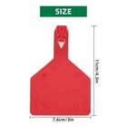 50 Count Tpu Blank -piece Cattle Ear Tags  Z Blank Ear Tags  Large Livestock