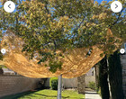 Fruit Catcher Leaf Catcher In Different Sizes