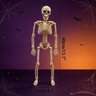 5 Pack 16  Full Body Halloween Skeletons Decorations Movable Joints Posable Hang