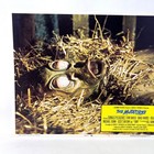 The Mutations Original Movie Lobby Card 74 165 No 8