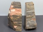 Petrified Wood Bookends  5 5 x2 25 x4 5  3  Lbs Polished rough W live Edge  8