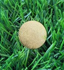 1960 Masters Commemorative Golf Ball Marker Arnold Palmer 2nd Of 4 Masters Wins