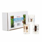 Iqcrew Amscope 20x-40x Portable Stereo Microscope  deluxe 3d Insect Specimen Kit