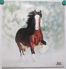 Vintage 1983 Bud Light Beer Clydesdale Poster Anheuser Busch Usa Horse Budweiser