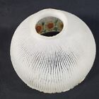 Antique Glass Lamp Shade Globe Frosted Glass Painted Flower Border 5 Inches Tall