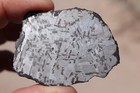 Canyon Diablo Etched  Meteorite Full Slice Weight 37 3 Grams 2 25 Inches