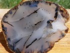 Tcr Montana Moss Agate  rough Slab 155g     Dendritic Lapidary Stone