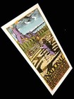 The National Poster Mcmenamins 2013 W Frightened Rabbit S n By Gary Houston Coa